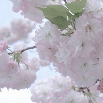 Furry插画故事感灵感FurryQQ群